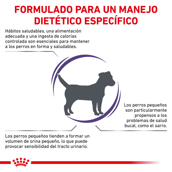 Royal Canin Adult Small Dog, pienso para perros - Kompymascotas