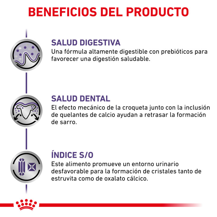 Royal Canin Adult Small Dog, pienso para perros - Kompymascotas