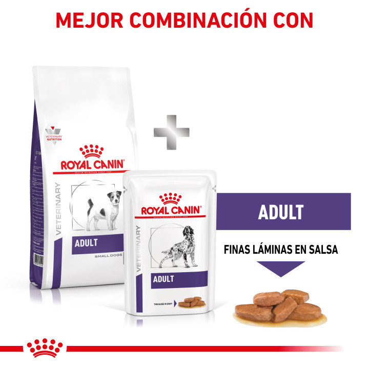 Royal Canin Adult Small Dog, pienso para perros - Kompymascotas