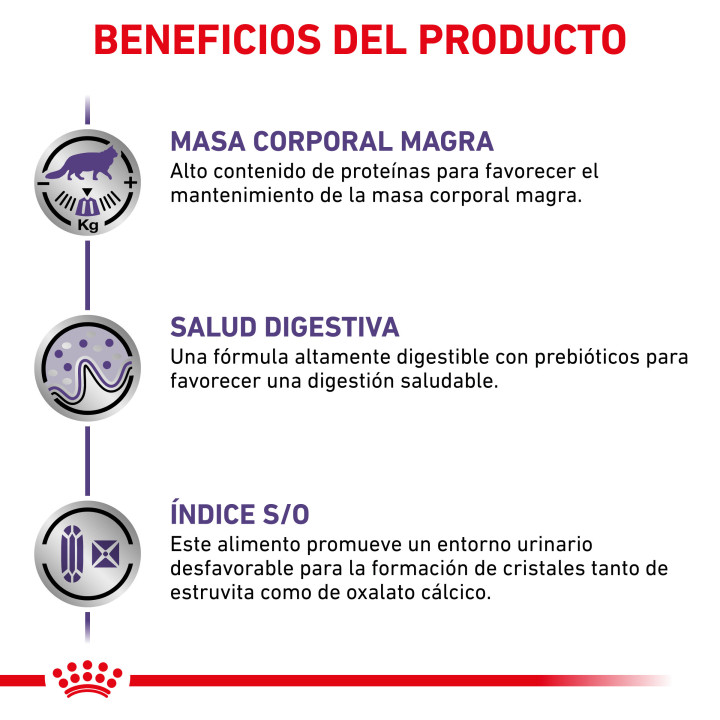 Comida húmeda para gatos Royal Canin Neutered Adult Maintenance - Kompymascotas