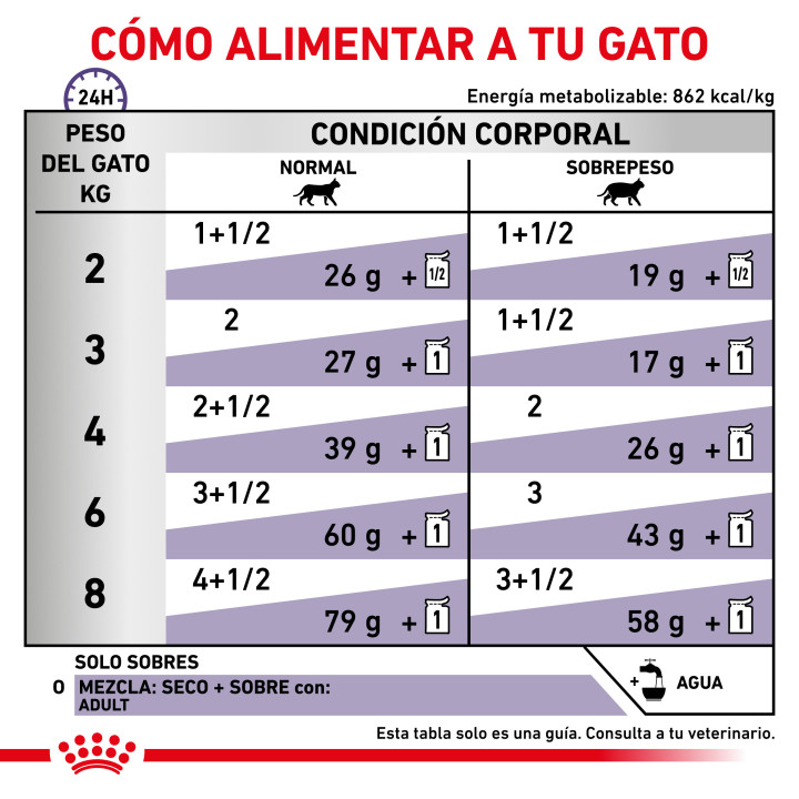 Comida húmeda para gatos Royal Canin Neutered Adult Maintenance - Kompymascotas