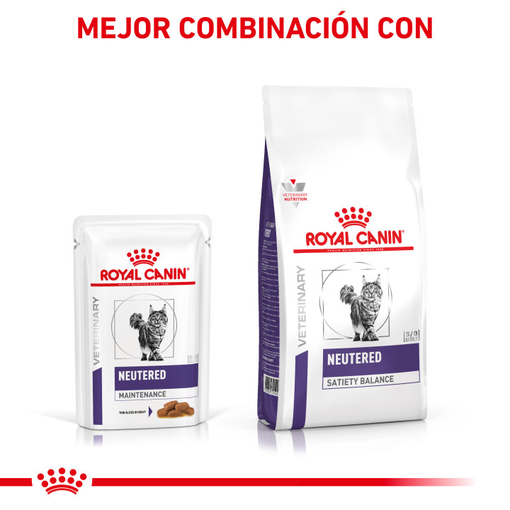 Comida húmeda para gatos Royal Canin Neutered Adult Maintenance - Kompymascotas