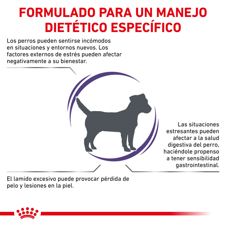 Royal Canin Calm Pienso para perros - Kompymascotas