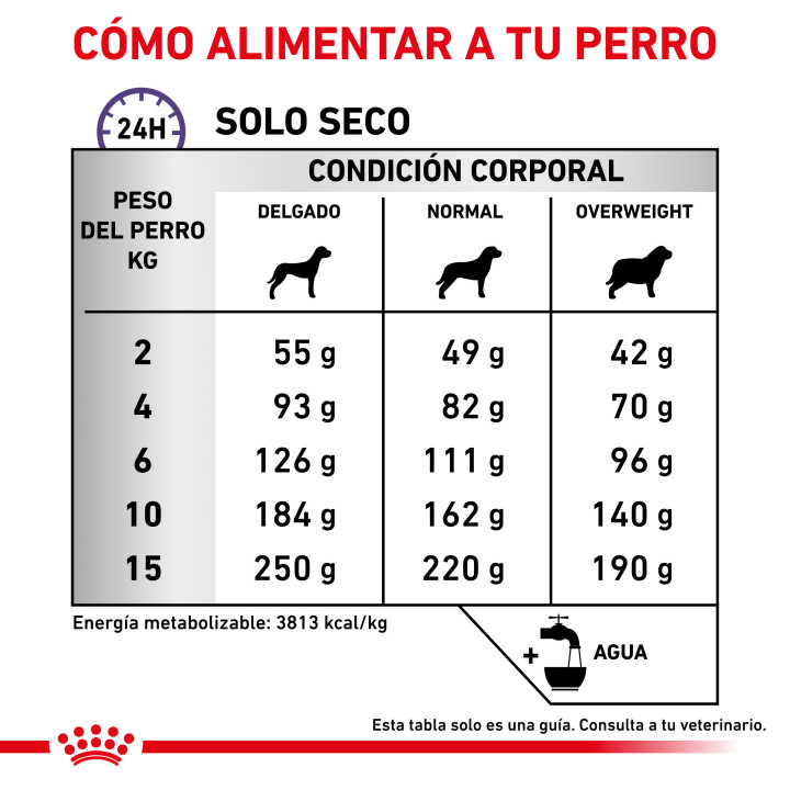 Royal Canin Calm Pienso para perros - Kompymascotas