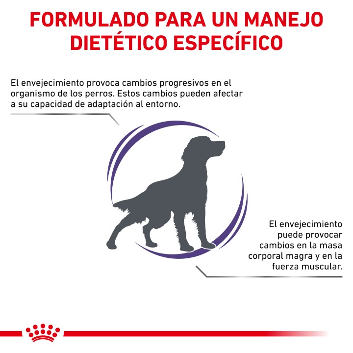 Royal Canin Senior Consult Mature, pienso para perros - Kompymascotas