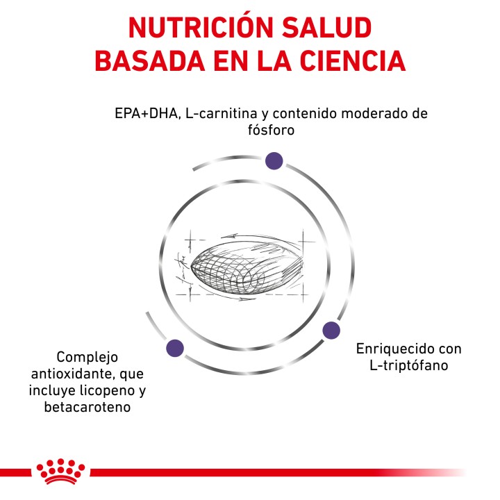 Royal Canin Senior Consult Mature, pienso para perros - Kompymascotas