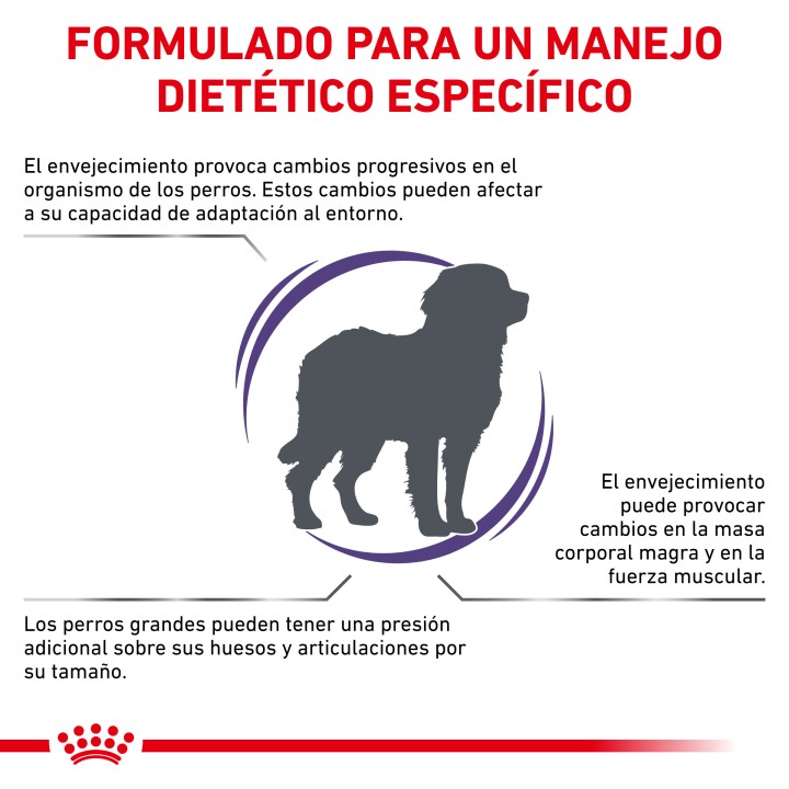 Royal Canin Senior Consult Mature Large Breed, pienso para perros - Kompymascotas
