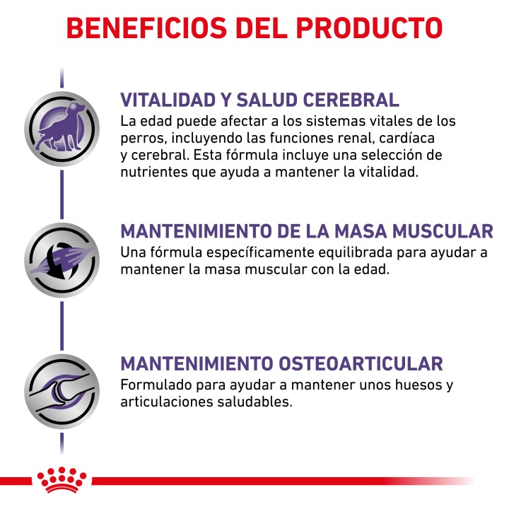 Royal Canin Senior Consult Mature Large Breed, pienso para perros - Kompymascotas