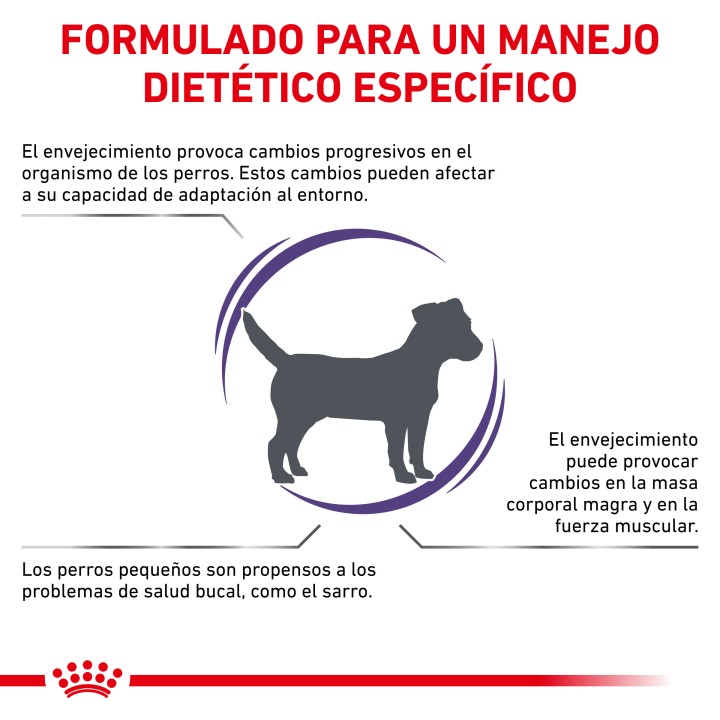 Royal Canin Senior Consult Mature Small Dog Pienso para perros - Kompymascotas