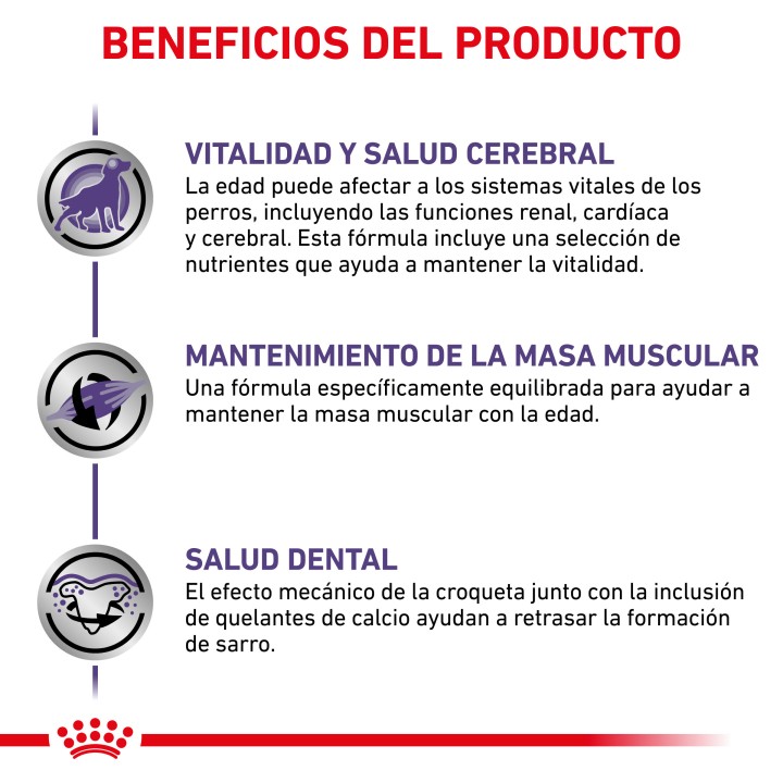 Royal Canin Senior Consult Mature Small Dog Pienso para perros - Kompymascotas