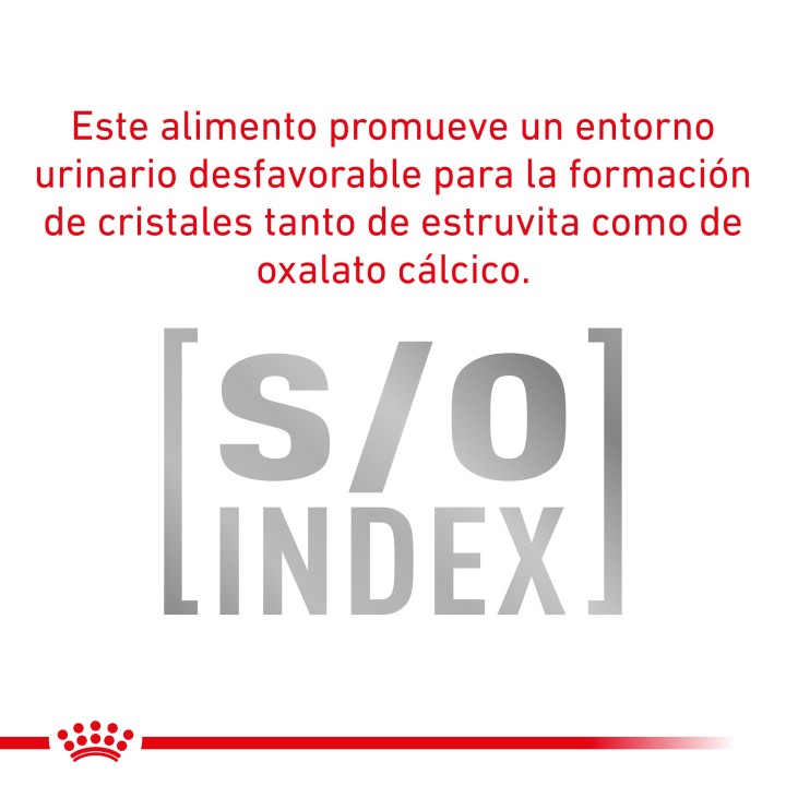 Royal Canin Senior Consult Mature Small Dog Pienso para perros - Kompymascotas