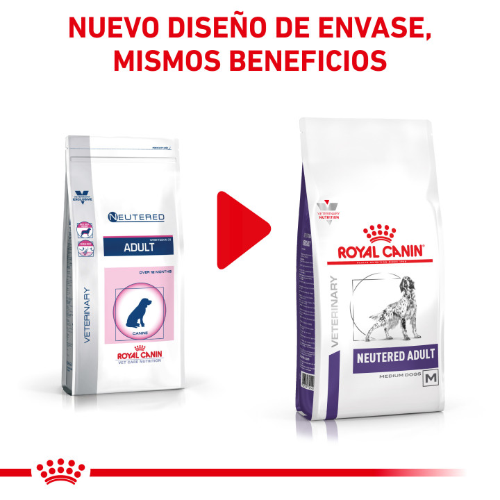 Royal Canin Neutered Adult, pienso para perro - Kompymascotas