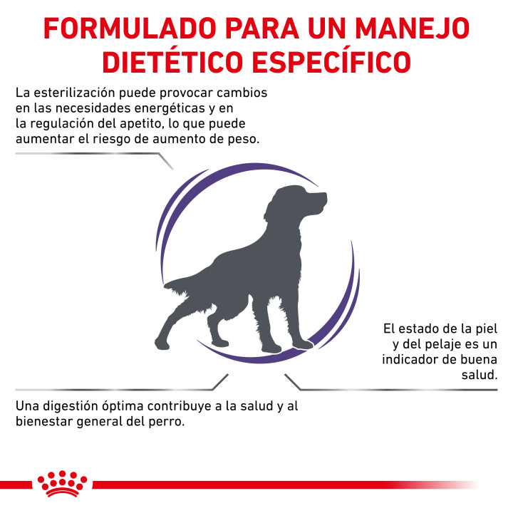 Royal Canin Neutered Adult, pienso para perro - Kompymascotas
