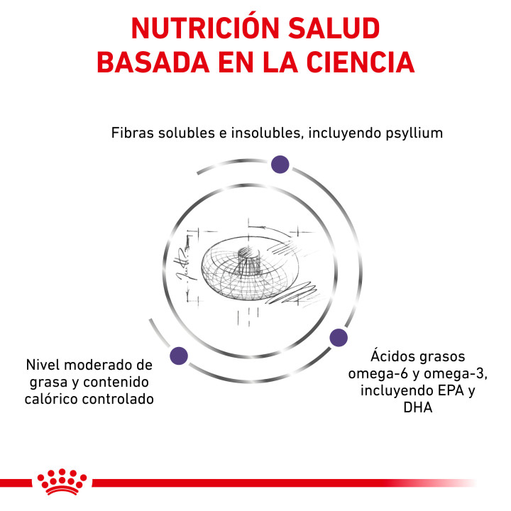 Royal Canin Neutered Adult, pienso para perro - Kompymascotas