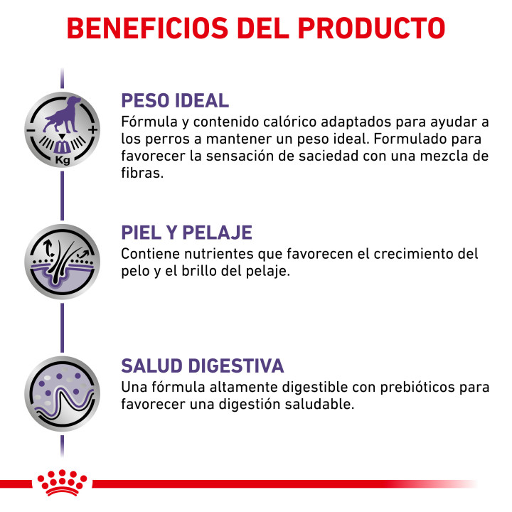 Royal Canin Neutered Adult, pienso para perro - Kompymascotas