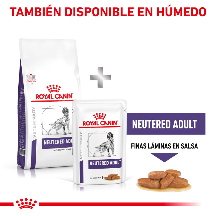 Royal Canin Neutered Adult, pienso para perro - Kompymascotas