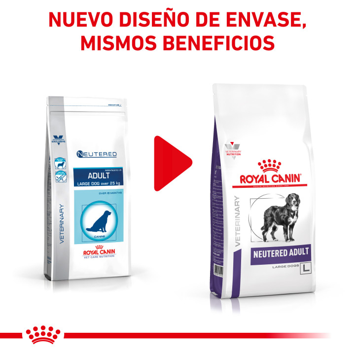 Royal Canin Neutered Adult Large Dog, piensos para perros - Kompymascotas