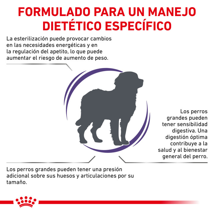 Royal Canin Neutered Adult Large Dog, piensos para perros - Kompymascotas