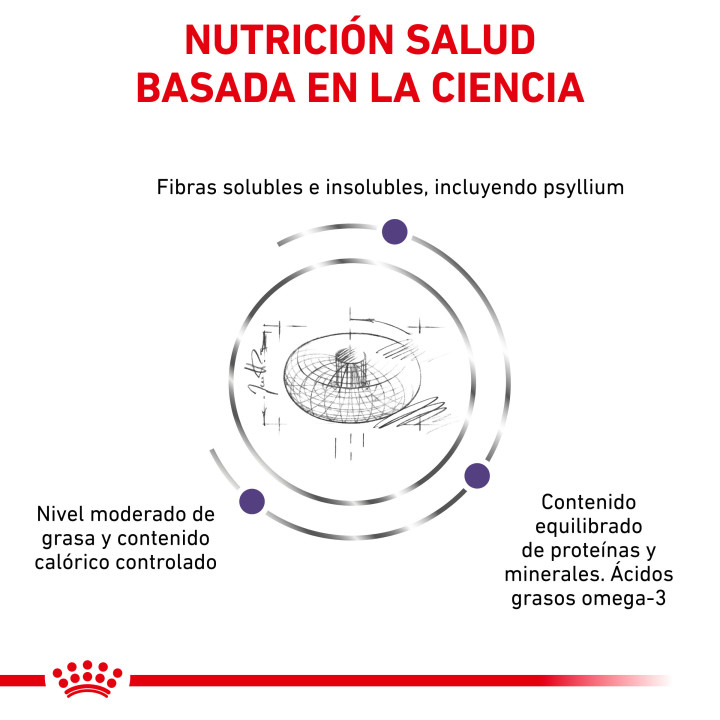 Royal Canin Neutered Adult Large Dog, piensos para perros - Kompymascotas