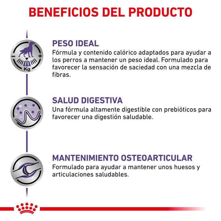 Royal Canin Neutered Adult Large Dog, piensos para perros - Kompymascotas