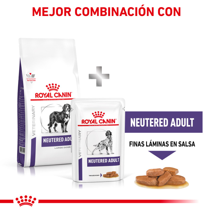 Royal Canin Neutered Adult Large Dog, piensos para perros - Kompymascotas