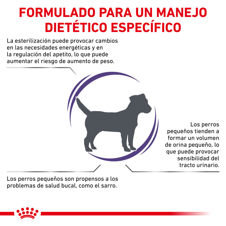 Royal Canin Neutered Adult Small Dog, piensos para perros - Kompymascotas