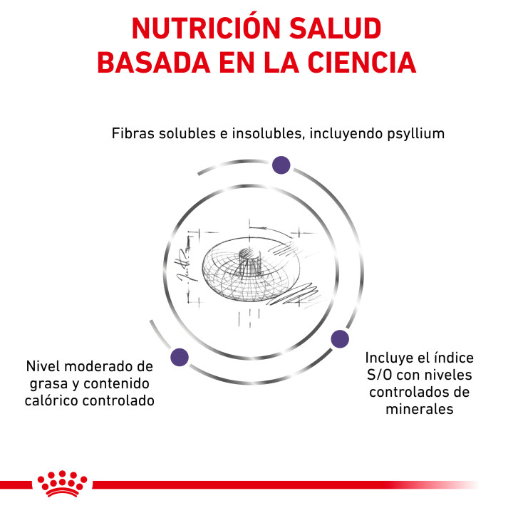 Royal Canin Neutered Adult Small Dog, piensos para perros - Kompymascotas