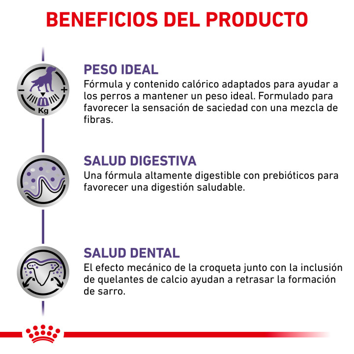 Royal Canin Neutered Adult Small Dog, piensos para perros - Kompymascotas