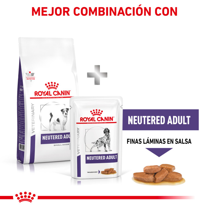 Royal Canin Neutered Adult Small Dog, piensos para perros - Kompymascotas