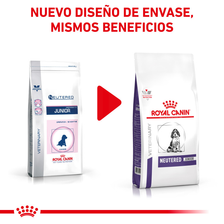 Royal Canin Neutered Junior, piensos para perro - Kompymascotas