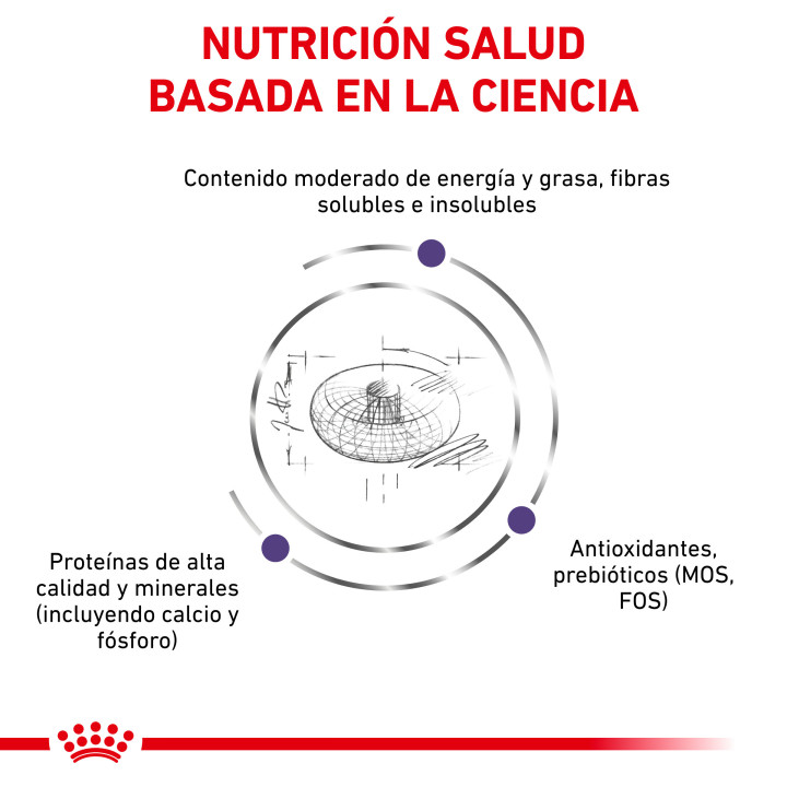 Royal Canin Neutered Junior, piensos para perro - Kompymascotas