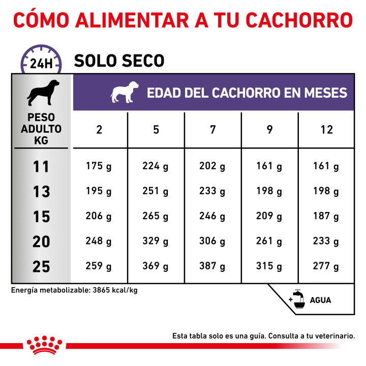 Royal Canin Neutered Junior, piensos para perro - Kompymascotas