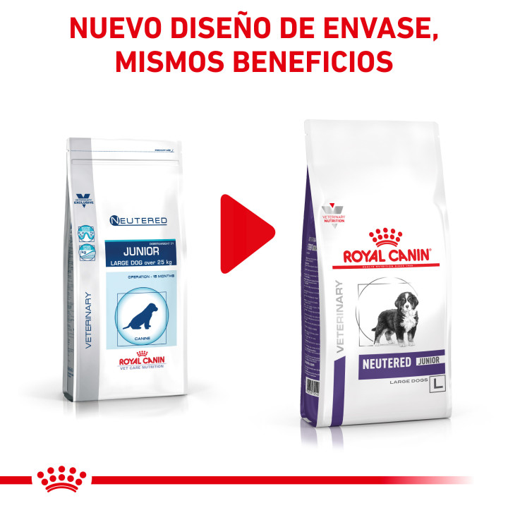 Royal Canin Neutered Junior Large Dog, piensos para perros - Kompymascotas