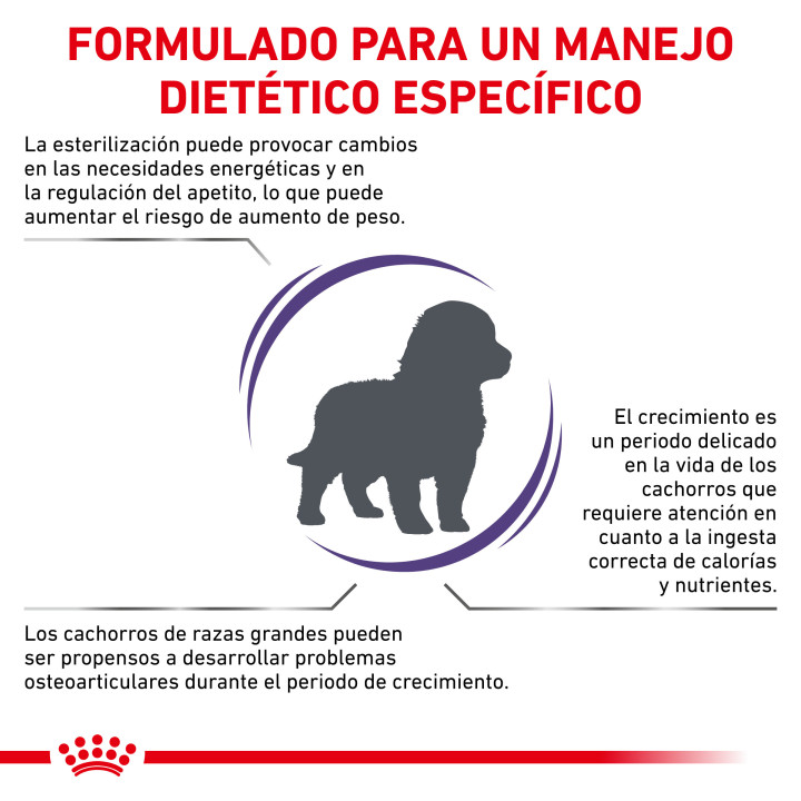 Royal Canin Neutered Junior Large Dog, piensos para perros - Kompymascotas