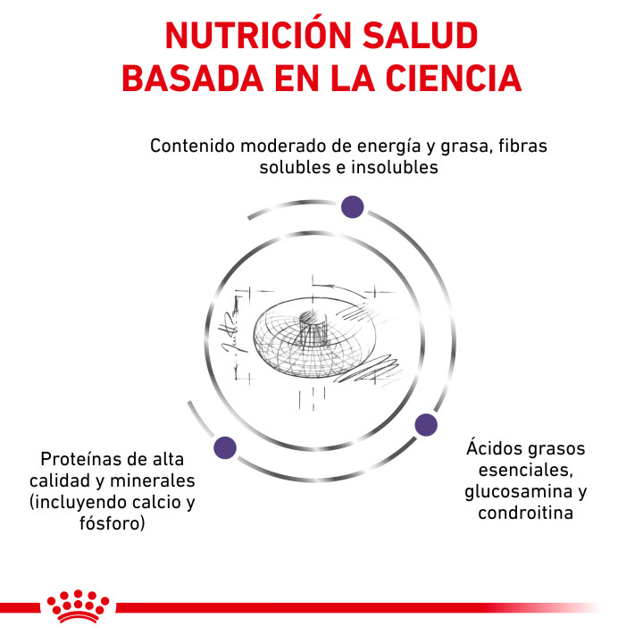 Royal Canin Neutered Junior Large Dog, piensos para perros - Kompymascotas
