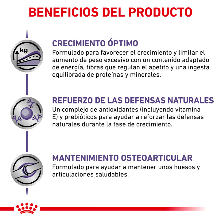 Royal Canin Neutered Junior Large Dog, piensos para perros - Kompymascotas
