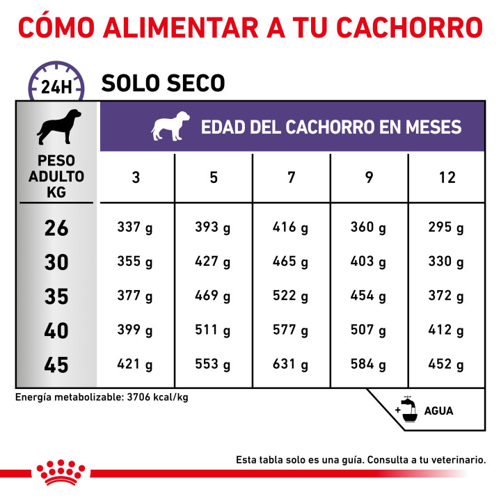 Royal Canin Neutered Junior Large Dog, piensos para perros - Kompymascotas