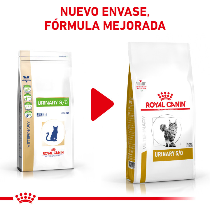 Pienso veterninario Royal Canin para gatos - Kompymascotas