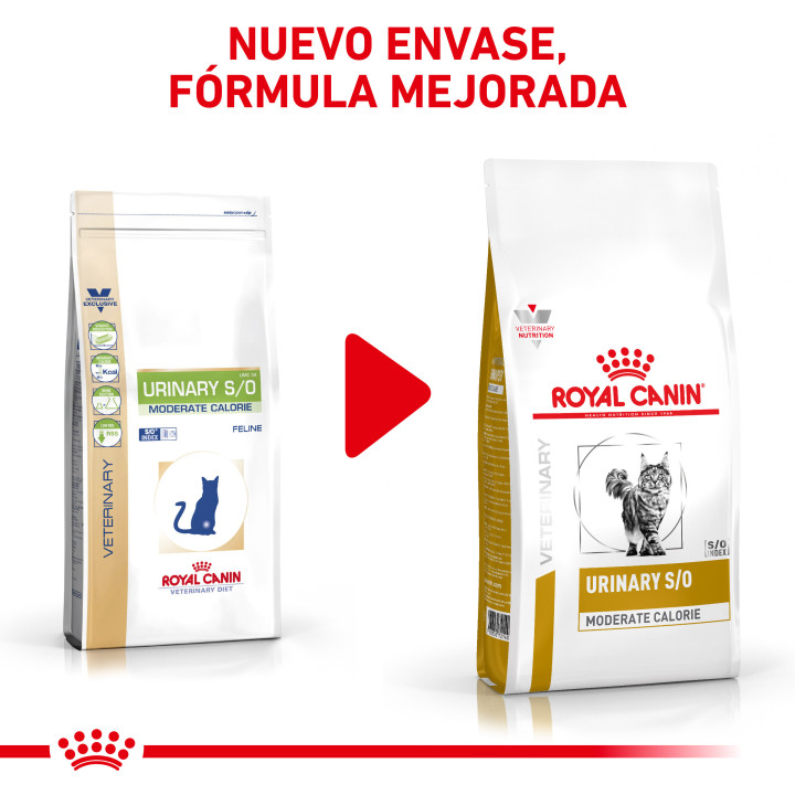 Pienso Royal Canin para gatos Urinary Moderate Calorie - Kompymascotas