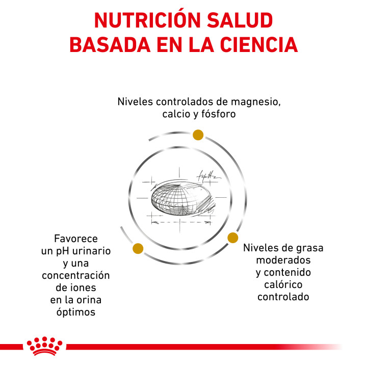Pienso Royal Canin para gatos Urinary Moderate Calorie - Kompymascotas