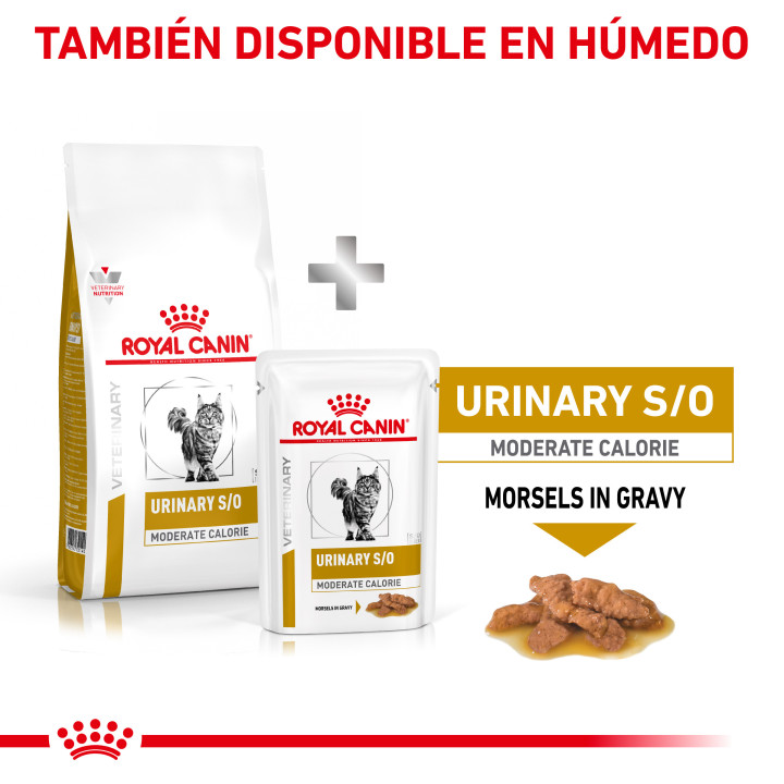 Pienso Royal Canin para gatos Urinary Moderate Calorie - Kompymascotas