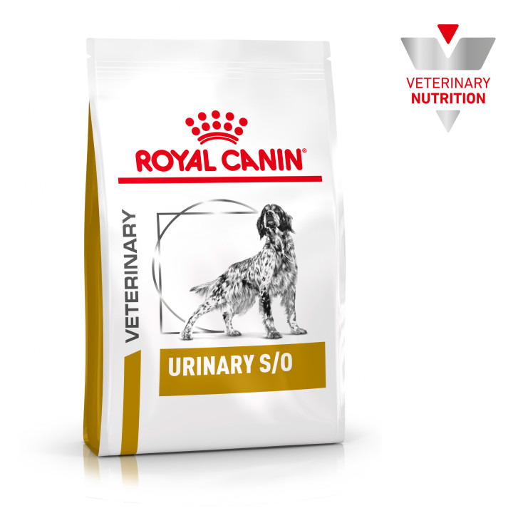 Royal Canin Urinary S/O, pienso para perros - Kompymascotas