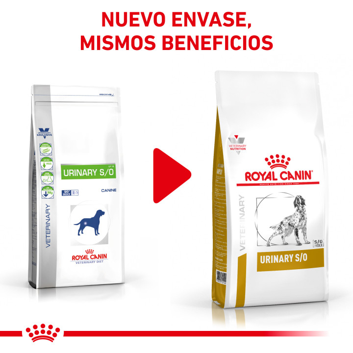 Royal Canin Urinary S/O, pienso para perros - Kompymascotas