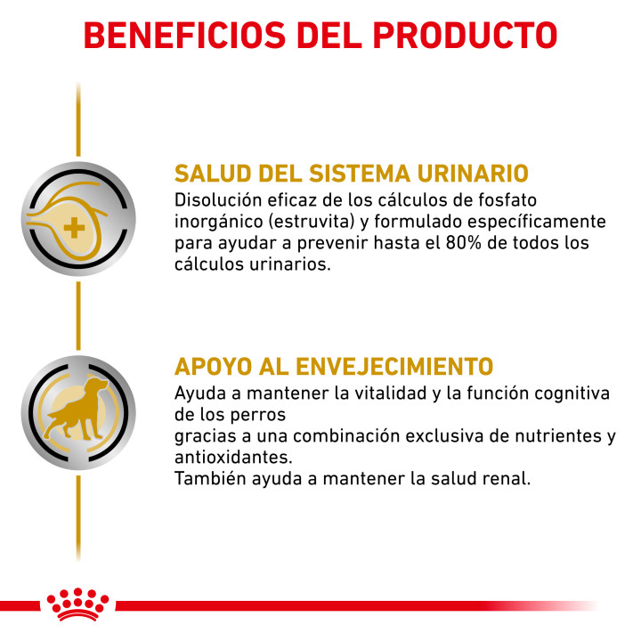 Royal Canin Urinary S/O Ageing - Kompymascotas