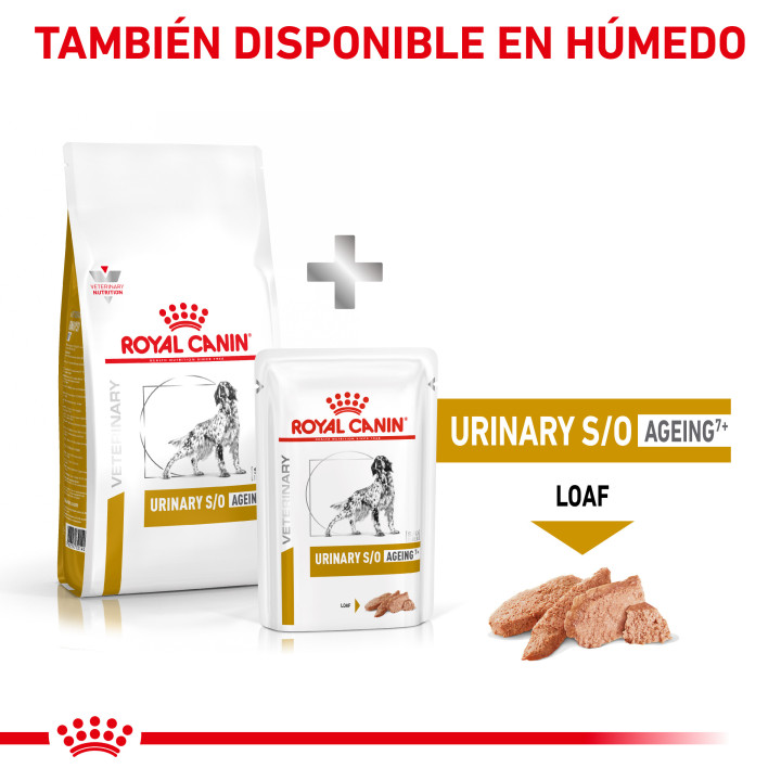 Royal Canin Urinary S/O Ageing - Kompymascotas