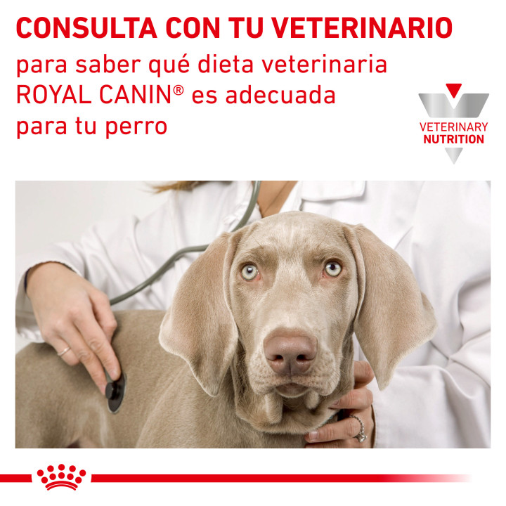 Royal Canin Urinary S/O Ageing - Kompymascotas