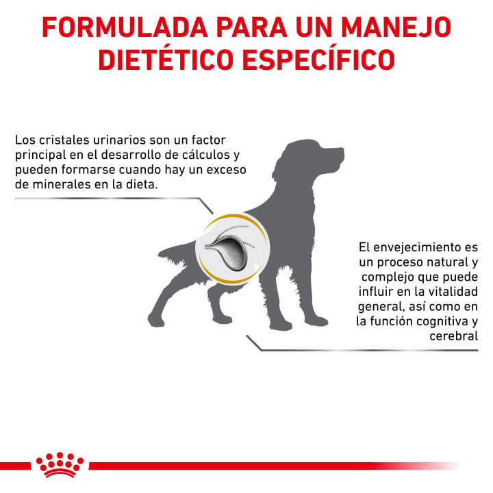 Royal Canin Urinary S/O Ageing - Kompymascotas