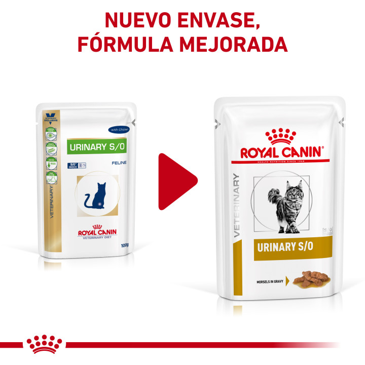 Royal Canin Feline Urinary S/O comida húmeda para gatos - Kompymascotas