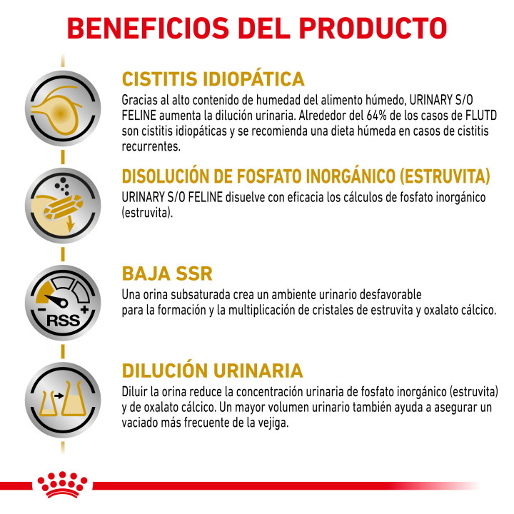Royal Canin Feline Urinary S/O comida húmeda para gatos - Kompymascotas