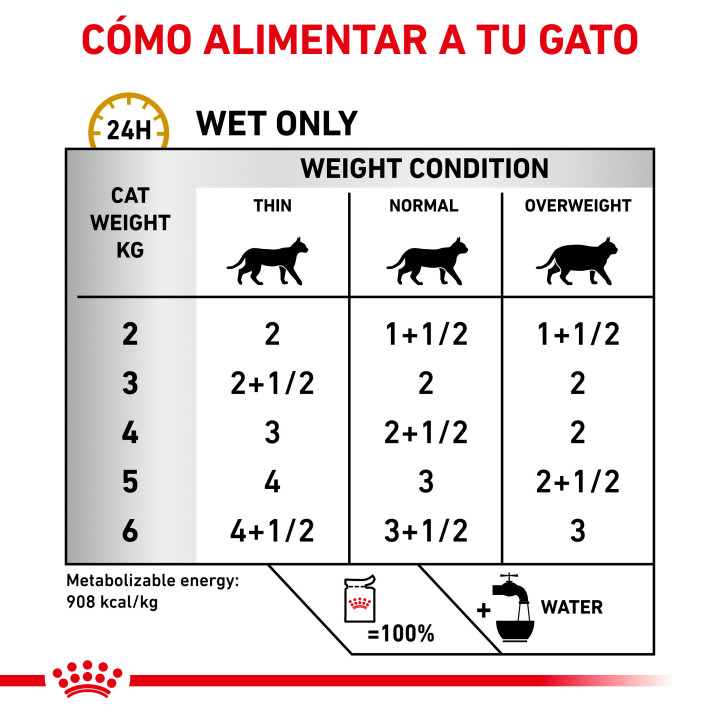 Royal Canin Feline Urinary S/O comida húmeda para gatos - Kompymascotas